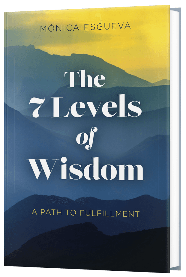 The 7 Levels of Wisdom, cover